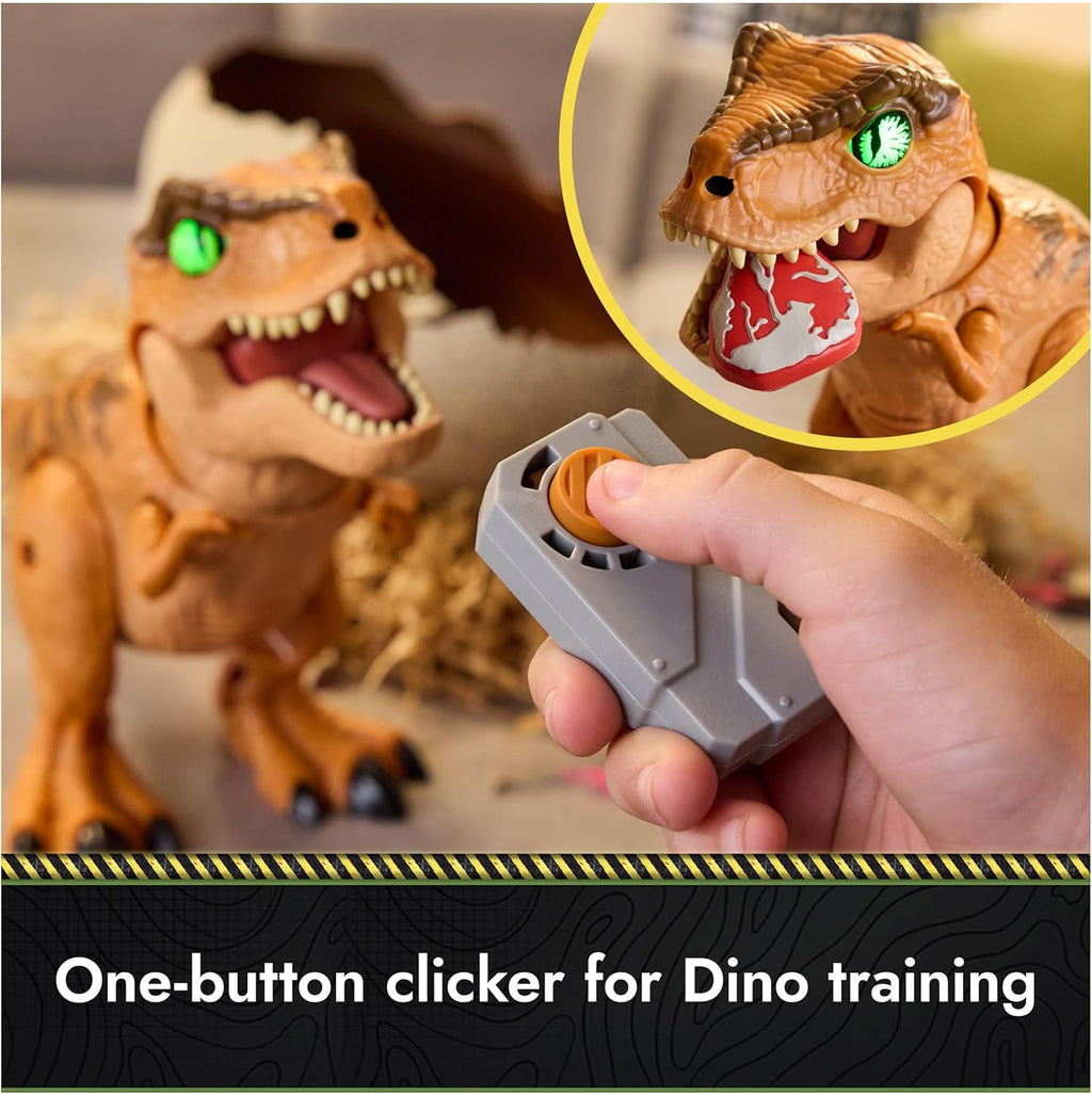 Hatch & Train Dino Egg Toy